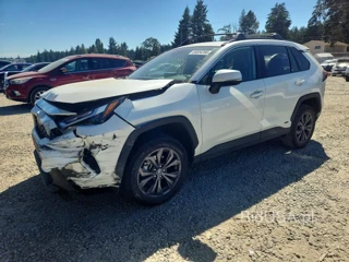 TOYOTA RAV4 XLE PREMIUM