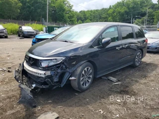 HONDA ODYSSEY EXL