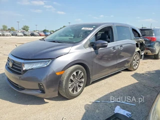 HONDA ODYSSEY EXL