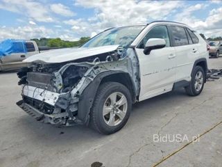 TOYOTA RAV4 HYBRID XLE
