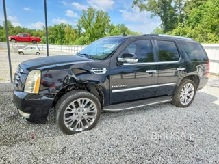 CADILLAC ESCALADE LUXURY