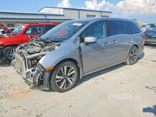 HONDA ODYSSEY ELITE