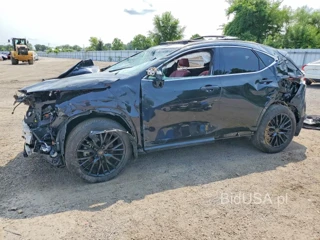 LEXUS NX 350H BASE