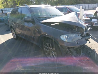 BMW X5 XDRIVE35I/XDRIVE35I PREMIUM/XDRIVE35I SPORT ACTIVITY