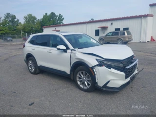 HONDA HONDA CR-V EX-L AWD
