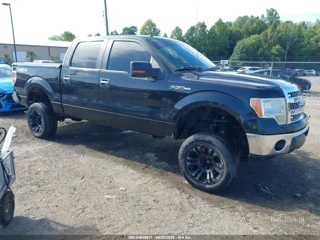 FORD FORD F-150 XLT