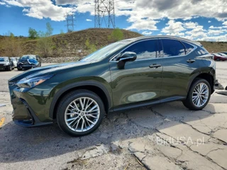 LEXUS NX 350 LUXURY