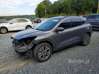 FORD ESCAPE SEL