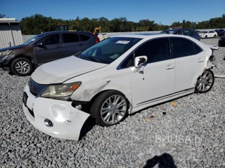 LEXUS HS 250H