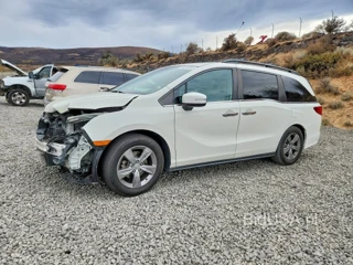 HONDA ODYSSEY EXL