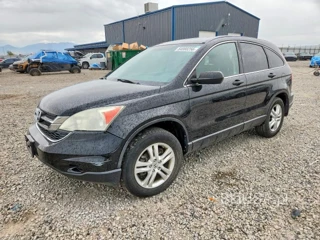 HONDA CR-V EX