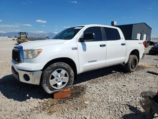 TOYOTA TUNDRA CREWMAX SR5