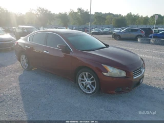 NISSAN NISSAN MAXIMA 3.5 SV