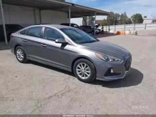 HYUNDAI HYUNDAI SONATA ECO