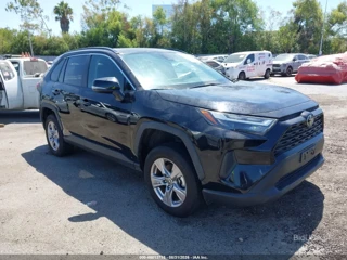 TOYOTA TOYOTA RAV4 XLE
