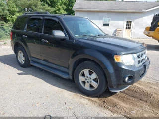 FORD FORD ESCAPE XLT