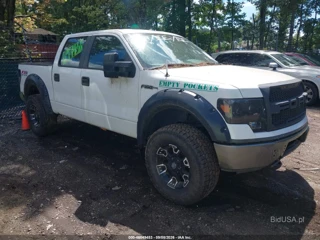 FORD FORD F-150 XL