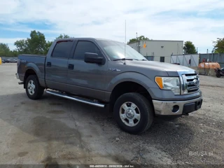FORD FORD F-150 XLT