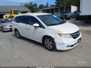 HONDA HONDA ODYSSEY EX