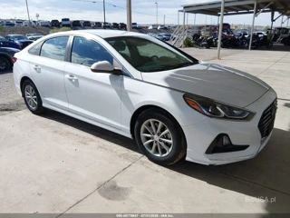 HYUNDAI HYUNDAI SONATA ECO