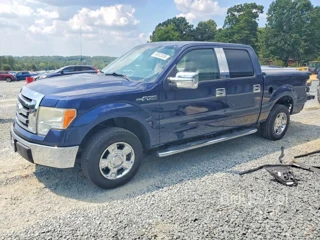 FORD F150 SUPERCREW