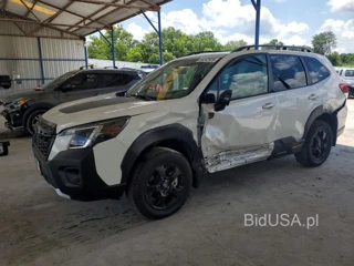 SUBARU FORESTER WILDERNESS