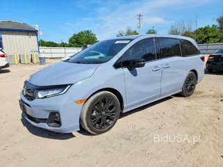 HONDA ODYSSEY SPORT-L