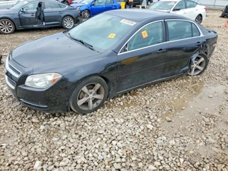 CHEVROLET MALIBU 1LT