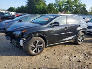 LEXUS NX 300H BASE