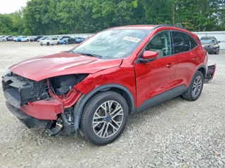 FORD ESCAPE SEL