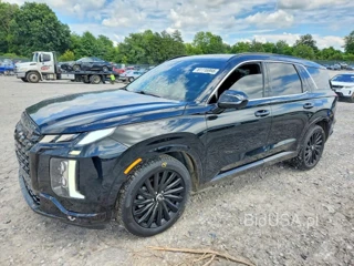 HYUNDAI PALISADE CALLIGRAPHY NIGHT EDITION