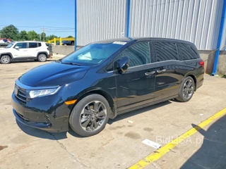 HONDA ODYSSEY ELITE