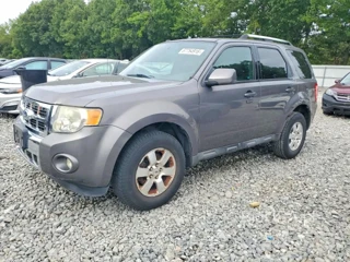 FORD ESCAPE LIMITED