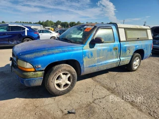 DODGE DAKOTA