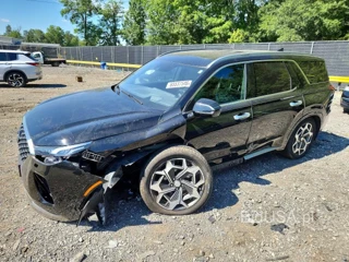 HYUNDAI PALISADE CALLIGRAPHY