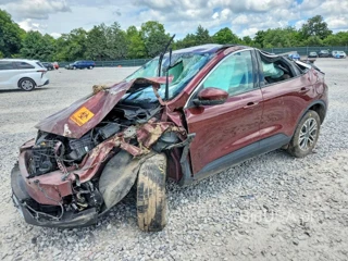FORD ESCAPE SEL