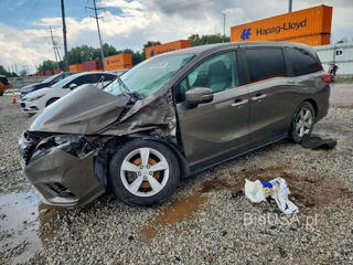 HONDA ODYSSEY EXL
