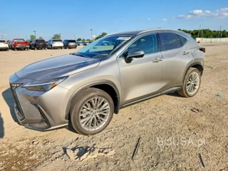 LEXUS NX 350H