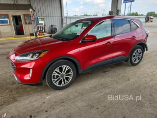 FORD ESCAPE SEL
