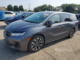 HONDA ODYSSEY ELITE