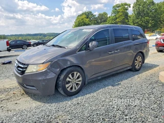 HONDA ODYSSEY EXL