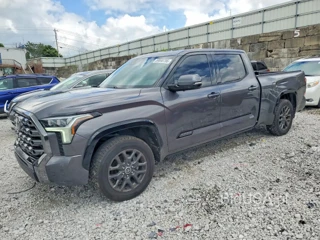 TOYOTA TUNDRA PLATINUM