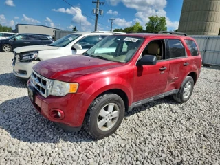 FORD ESCAPE XLT