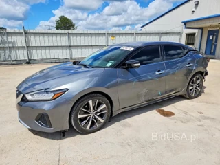 NISSAN MAXIMA SV