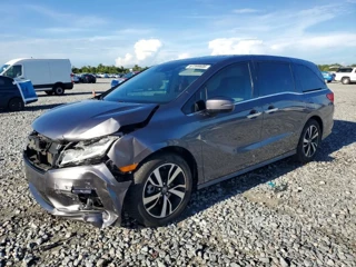 HONDA ODYSSEY ELITE