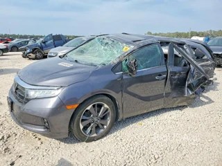 HONDA ODYSSEY ELITE