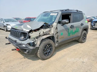 JEEP RENEGADE TRAILHAWK