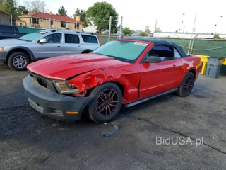 FORD MUSTANG
