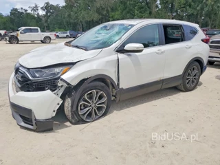 HONDA CR-V EX