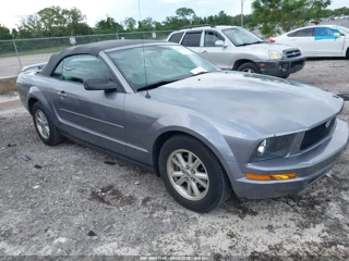 FORD FORD MUSTANG V6